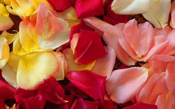 Что можно сделать из роз и их лепестков: ТОП-10 идей